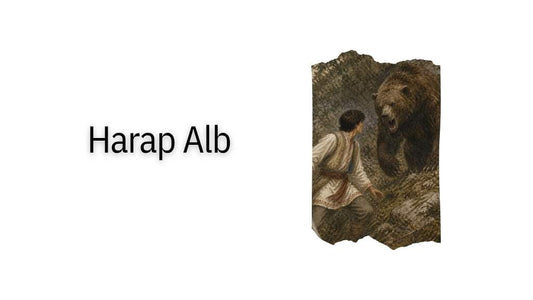 Harap Alb - Sluga în propria poveste