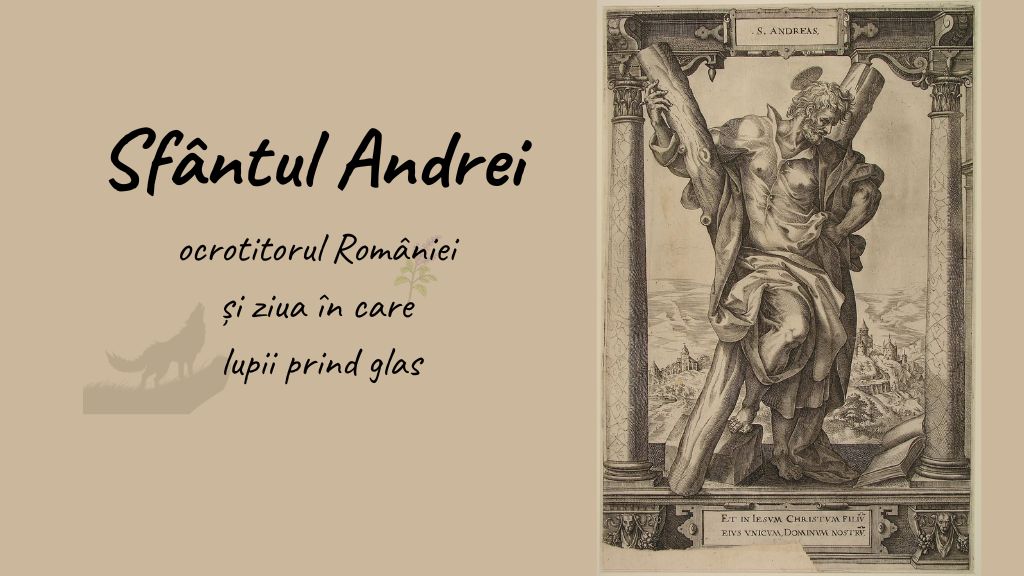 Sfântul Andrei - Apostolul, ocrotitorul României și ziua în care lupii prind glas