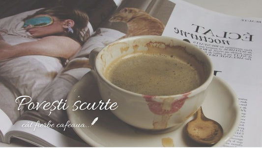 3 euro, o țigancă și un cal profetic