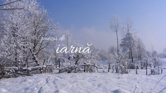 Poezii de iarnă